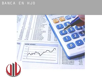 Banca en  Hjo