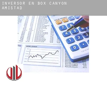 Inversor en  Box Canyon-Amistad