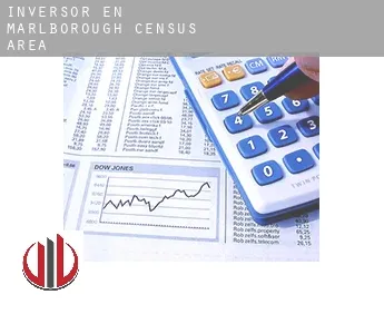 Inversor en  Marlborough (census area)