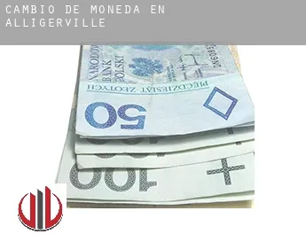 Cambio de moneda en  Alligerville