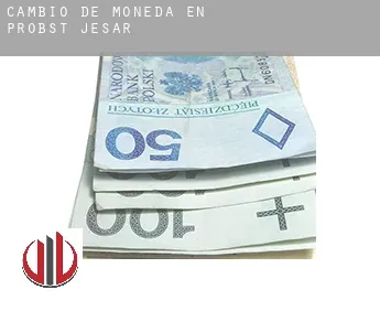 Cambio de moneda en  Probst Jesar