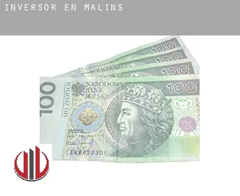 Inversor en  Malins