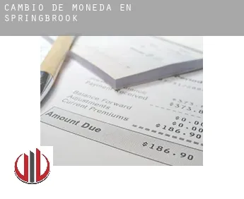 Cambio de moneda en  Springbrook