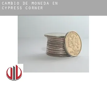 Cambio de moneda en  Cypress Corner