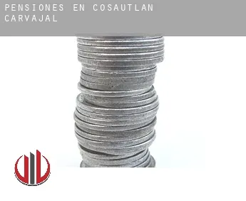 Pensiones en  Cosautlán de Carvajal