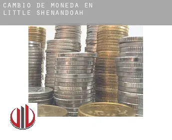 Cambio de moneda en  Little Shenandoah