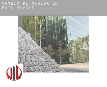 Cambio de moneda en  Bois Mivoye