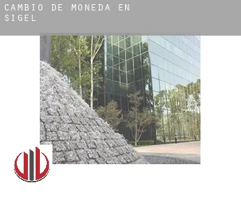 Cambio de moneda en  Sigel