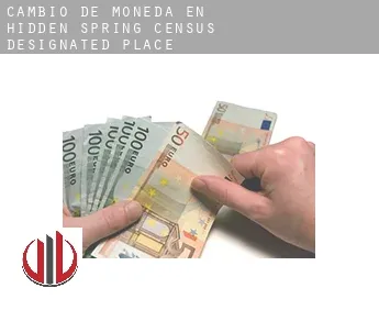 Cambio de moneda en  Hidden Spring