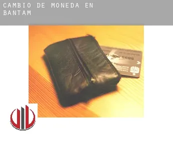 Cambio de moneda en  Bantam