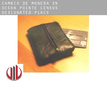 Cambio de moneda en  Ocean Pointe