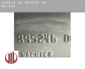 Cambio de moneda en  Mulegé