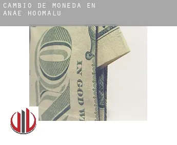 Cambio de moneda en  ‘Anae-ho‘omalu