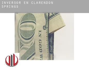 Inversor en  Clarendon Springs