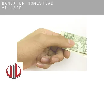 Banca en  Homestead Village