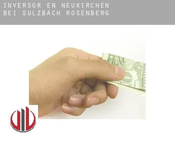 Inversor en  Neukirchen bei Sulzbach-Rosenberg