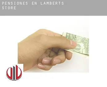 Pensiones en Lamberts Store