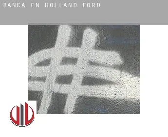 Banca en  Holland Ford