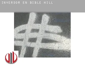 Inversor en  Bible Hill