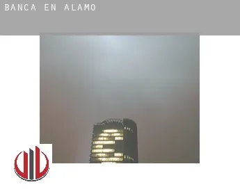 Banca en  Alamo