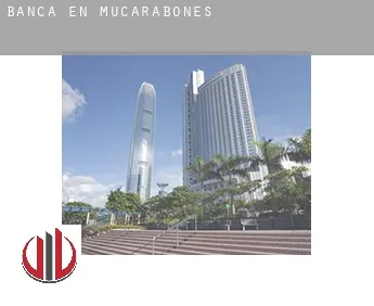 Banca en  Mucarabones