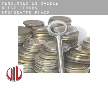 Pensiones en  Saddle Ridge