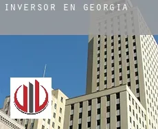 Inversor en  Georgia