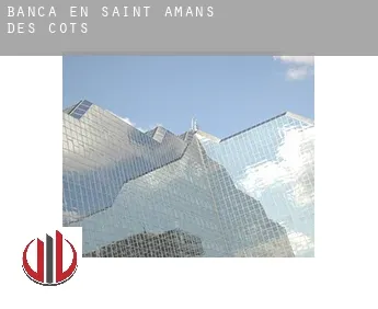 Banca en  Saint-Amans-des-Cots