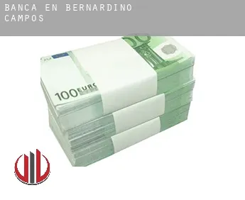 Banca en  Bernardino de Campos