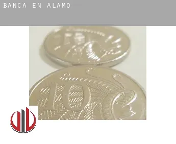 Banca en  Alamo