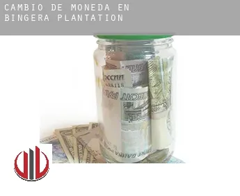 Cambio de moneda en  Bingera Plantation