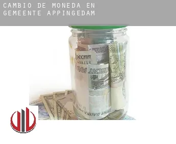 Cambio de moneda en  Gemeente Appingedam