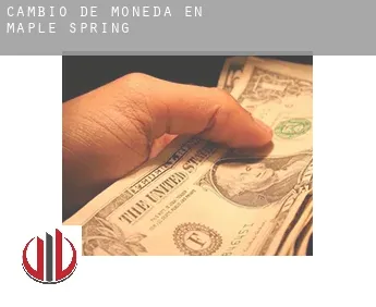 Cambio de moneda en  Maple Spring