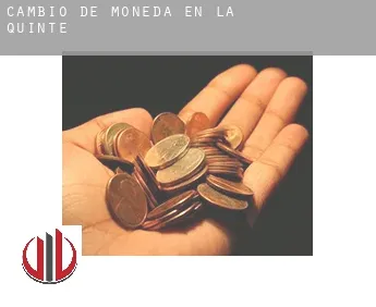 Cambio de moneda en  La Quinte