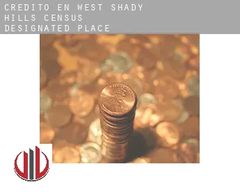 Crédito en  West Shady Hills