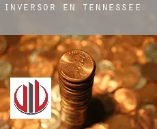 Inversor en  Tennessee