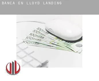 Banca en  Lloyd Landing