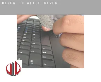 Banca en  Alice River