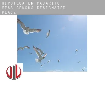 Hipoteca en  Pajarito Mesa