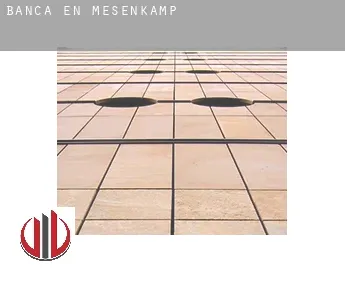 Banca en  Mesenkamp