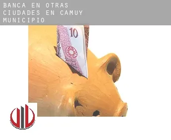 Banca en  Otras ciudades en Camuy Municipio