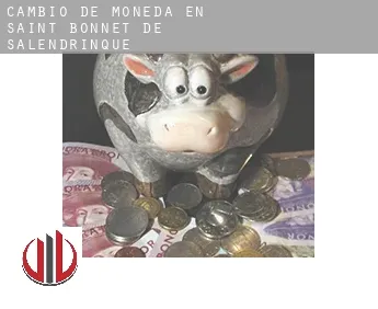 Cambio de moneda en  Saint-Bonnet-de-Salendrinque