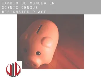 Cambio de moneda en  Scenic