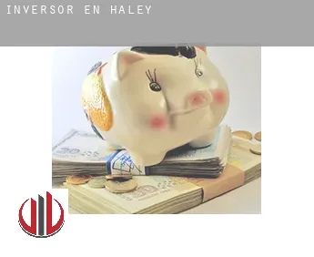 Inversor en  Haley