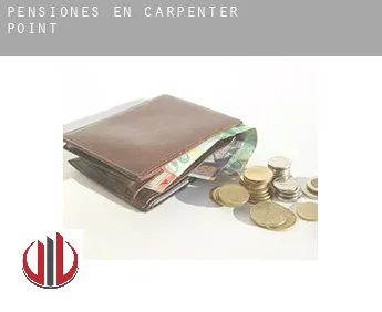 Pensiones en  Carpenter Point