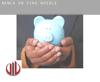 Banca en  Pine Needle