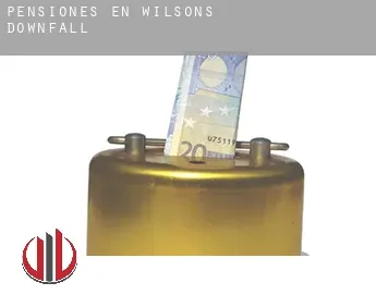 Pensiones en Wilsons Downfall