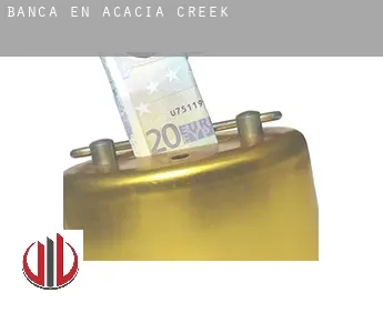 Banca en  Acacia Creek