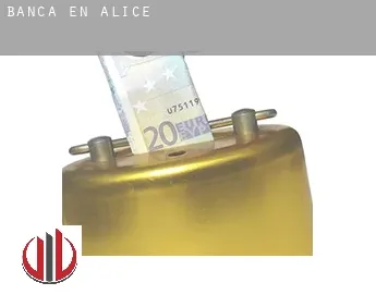 Banca en  Alice