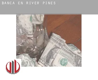 Banca en  River Pines